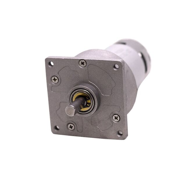 12 24V 200RPM 60mm DC Redüktörlü Motor - 3