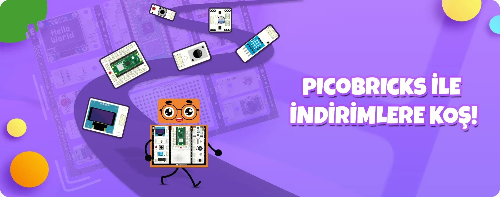 PicoBricks (1)
