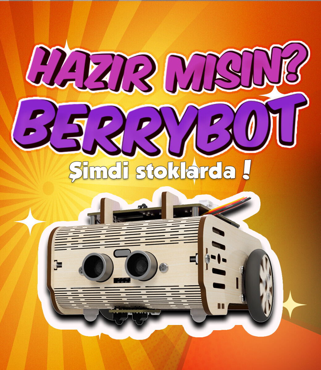 BerryBot 