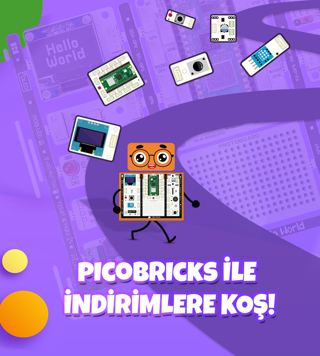 PicoBricks