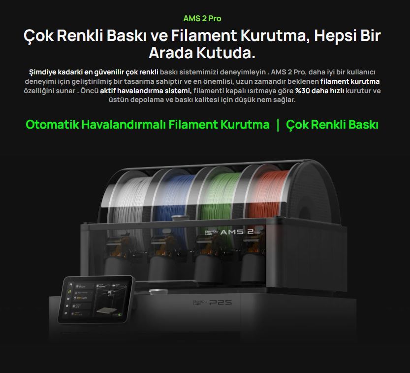 BambuLab P2S Combo 12