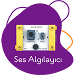 Twin Mucit Seti: STEM’e Giriş