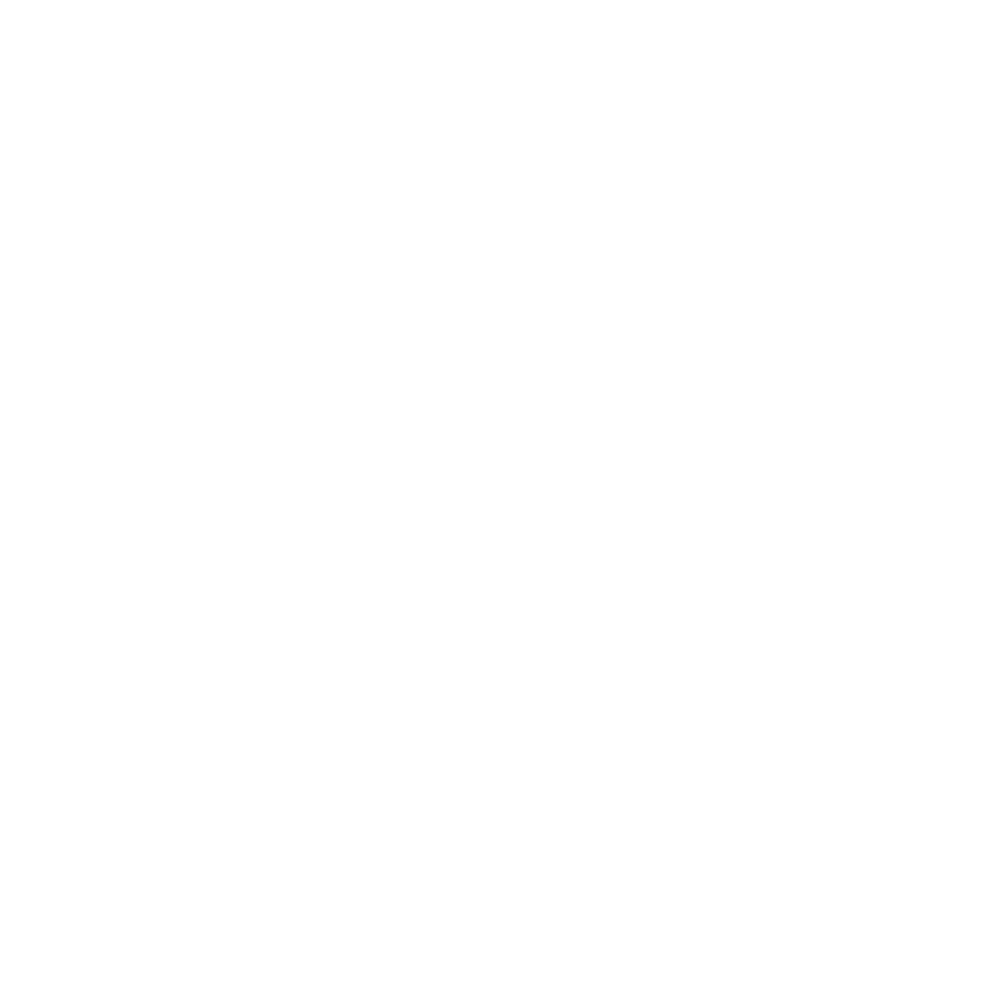 Robotistan Logo
