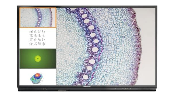 Promethean ActivPanel Nickel 65