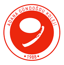 Adana Gündoğdu Koleji Özel Eğitim Paketi - Robotistan