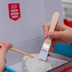 Arkerobox Koleksiyon - Antik Roma Kolezyum Eğitici Kazı Seti - 4