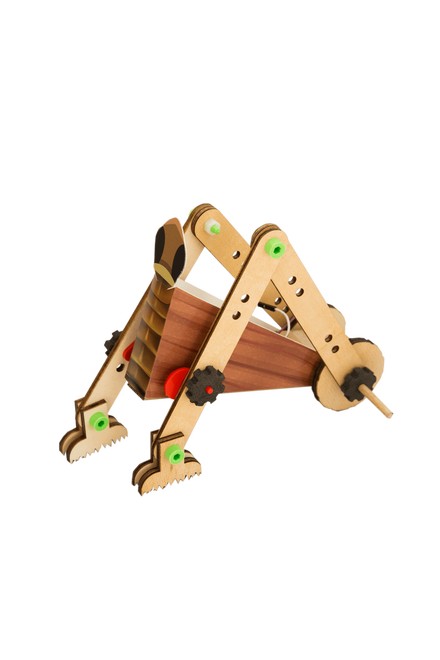 Kendin Yap Böcek Robot - D.I.Y - 1