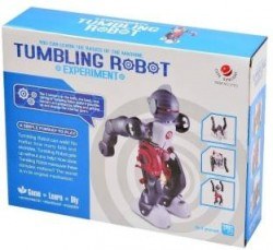 Devrilmeyen Robot - China