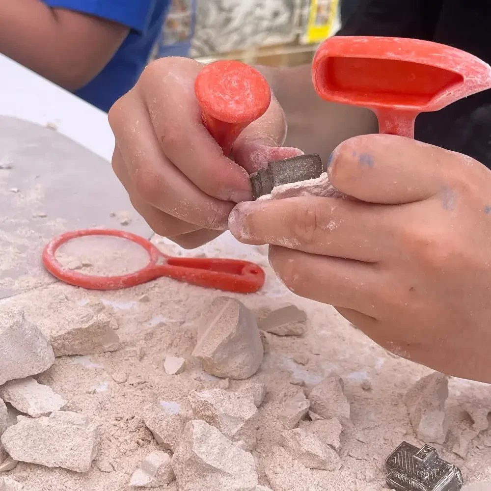 Dino Arkerobox Educational Excavation Set - 3