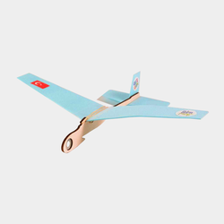 DIY Traveler Model Plane Set 