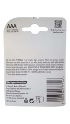 Duracell Basic AAA Batteries (2-Pack) - 2