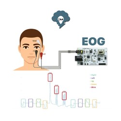 EMG EOG EKG Sensör Kartı (Kas, Göz ve Kalp Sinyalleri Algılama) - 4