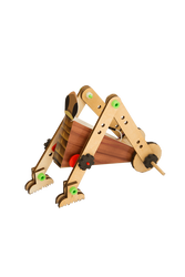 Insect Robot - D.I.Y - Mindio