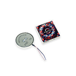 Magnetius 24V 15kg Elektromıknatıs - 50 mm çap - Magnetius