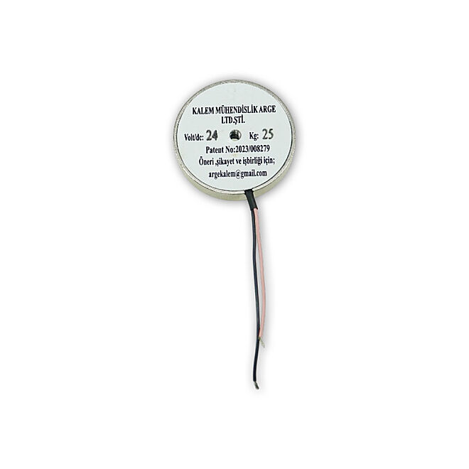 Magnetius 24V 25kg Elektromıknatıs - 50 mm çap - 3