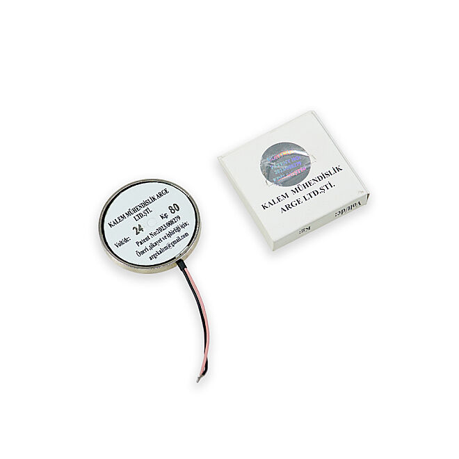 Magnetius 24V 80kg Elektromıknatıs - 50 mm çap - 4