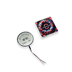 Magnetius 24V 8kg Elektromıknatıs - 50 mm çap - Magnetius