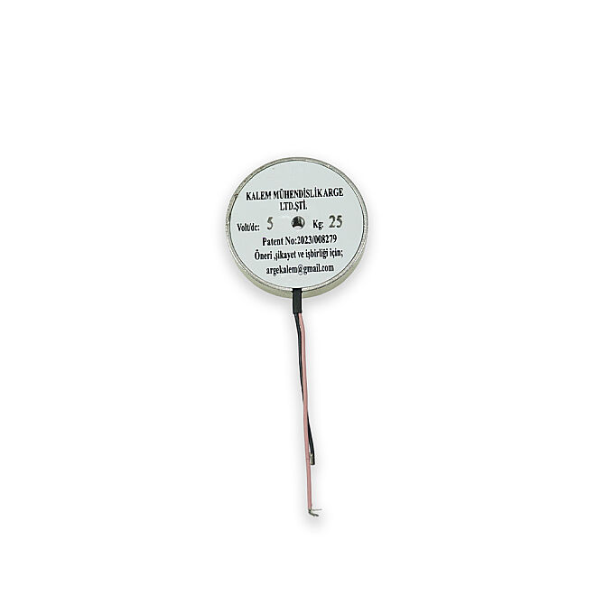 Magnetius 5V 25kg Elektromıknatıs - 50 mm çap - 3
