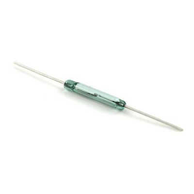 Reed Contact (Reed Relay) - 1