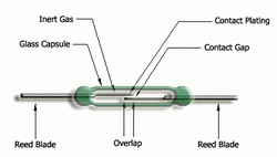 Reed Contact (Reed Relay) - 2