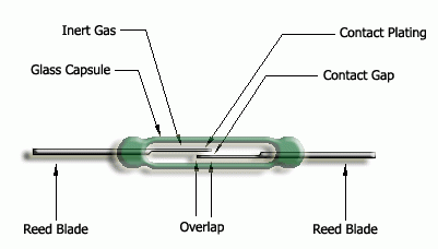 Reed Contact (Reed Relay) - 2