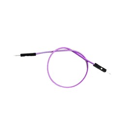 Single Male-Male Jumper Cable (20cm) 