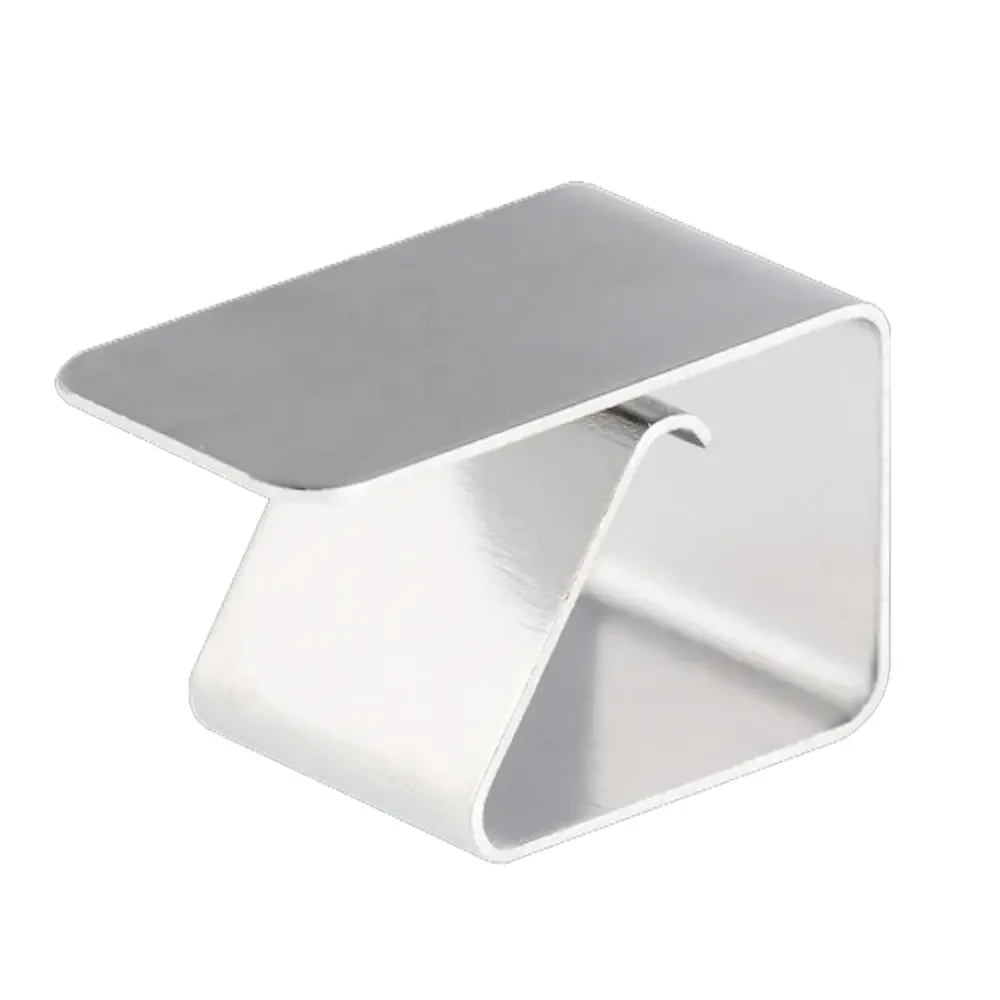 Stainless Steel Ultrabase Glass Fixing Clip - 3