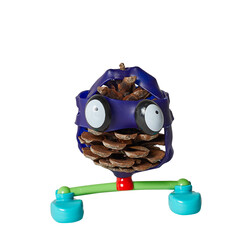 Toyi Starter Kit - 4